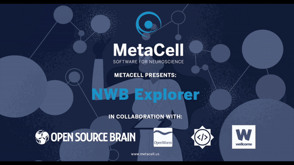 NWB Explorer Demo